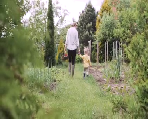 半岁宝宝头上起大疙瘩是什么原因导致的？