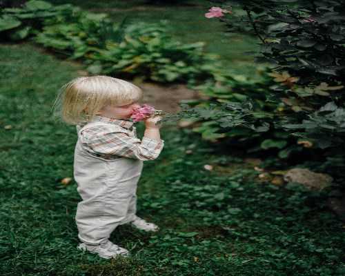 试管婴儿移植后需要注意什么？该如何饮食呢？