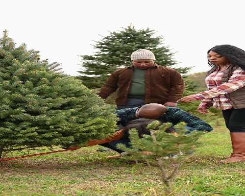 做完试管婴儿后还能自然受孕吗？跟年龄有关系吗？