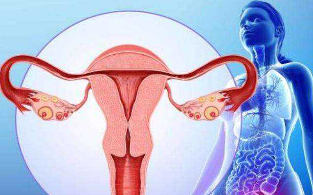 11岁孩子能吃活珠子鸡蛋吗？吃活珠子鸡蛋的好处和危害