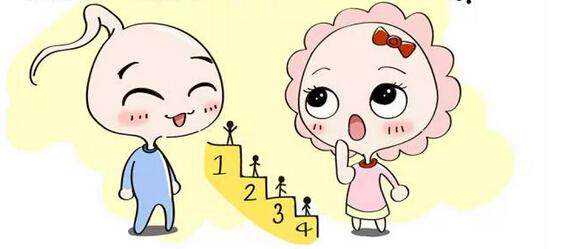 子宫肌瘤手术后多久可以做辅助生殖