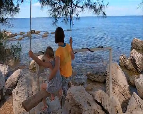 怀孕后特别招流浪猫的喜欢，这是为什么？