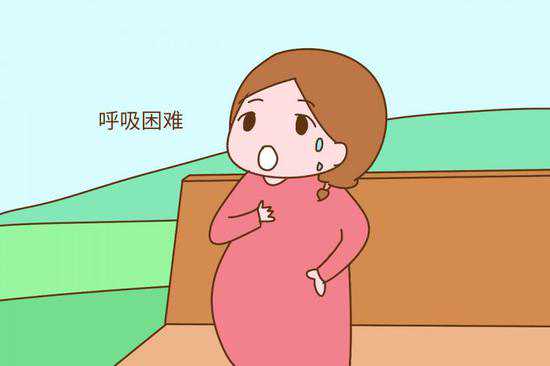 孕早期B超：性别检查、健康生育和价格流程全解析！