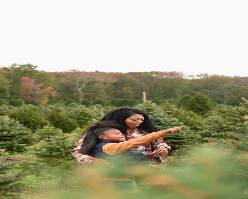 东莞市妇幼保健院三代供卵试管婴儿，需要什么程序？