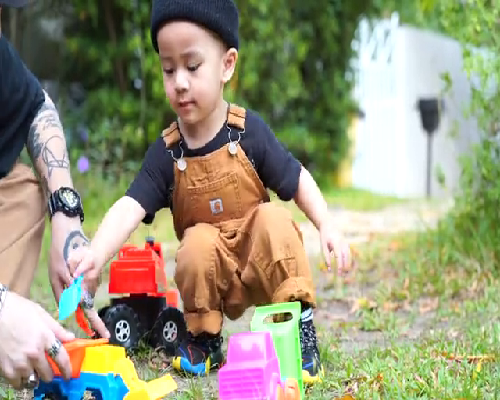 做试管婴儿移植一个冻胚和移植一个囊胚的成功率分别有多少？