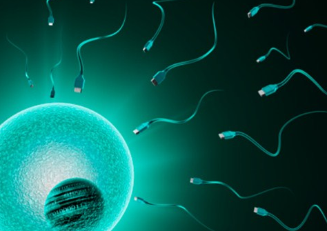 试管移植前做哪些运动比较合适？