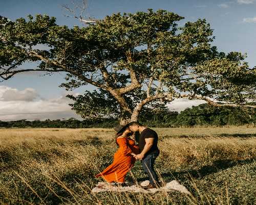 黄体功能不足在温州做试管的成功率会降低吗？