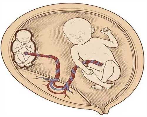 在福州做试管婴儿的成功率有多高？什么因素会影响成功率？