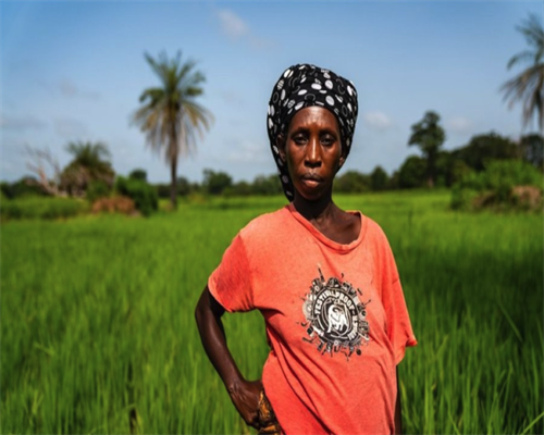 38岁高龄女性做俄罗斯第三代试管婴儿,成功率有多少？