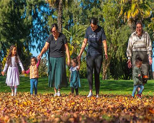 申请一次借卵试管，费用情况是怎么样的？